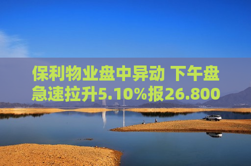 保利物业盘中异动 下午盘急速拉升5.10%报26.800港元  第1张