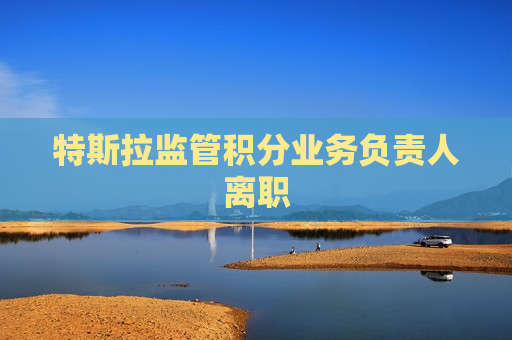 特斯拉监管积分业务负责人离职  第1张
