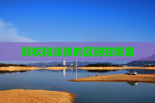 期权和股权的区别在哪里