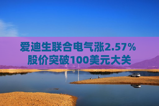 爱迪生联合电气涨2.57% 股价突破100美元大关  第1张