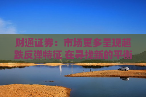 财通证券：市场更多呈现超跌反弹特征 在寻找新的平衡点  第1张