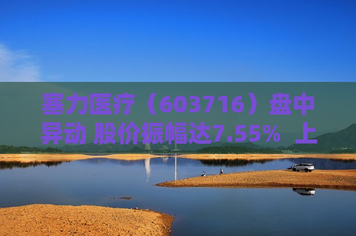 塞力医疗（603716）盘中异动 股价振幅达7.55%  上涨6.93%（07-30）