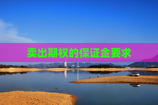 卖出期权的保证金要求  第1张