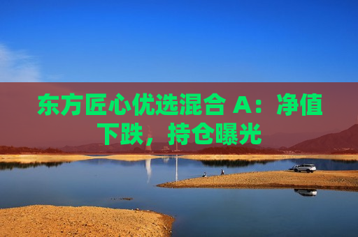 东方匠心优选混合 A：净值下跌，持仓曝光