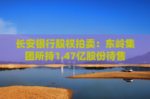 长安银行股权拍卖：东岭集团所持1.47亿股份待售  第1张