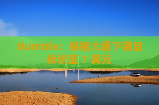Bumble：摩根大通下调目标价至 7 美元  第1张