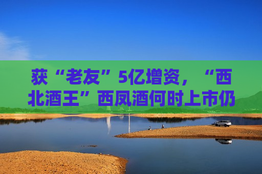 获“老友”5亿增资，“西北酒王”西凤酒何时上市仍成谜？  第1张