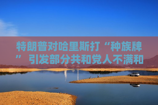 特朗普对哈里斯打“种族牌” 引发部分共和党人不满和担忧  第1张