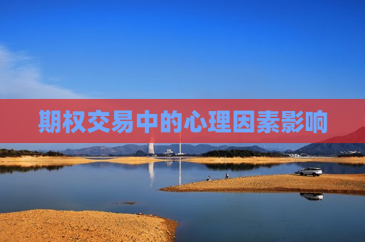 期权交易中的心理因素影响