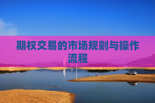 期权交易的市场规则与操作流程  第1张