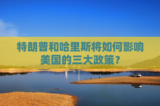 特朗普和哈里斯将如何影响美国的三大政策？