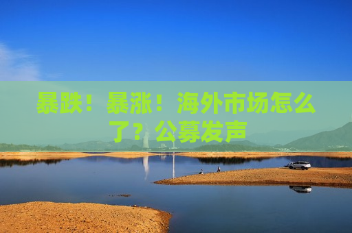 暴跌！暴涨！海外市场怎么了？公募发声  第1张