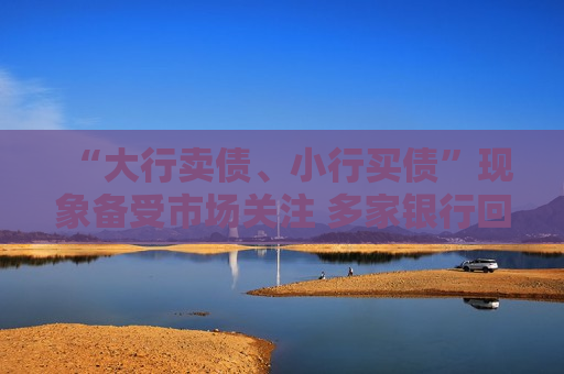 “大行卖债、小行买债”现象备受市场关注 多家银行回应！  第1张