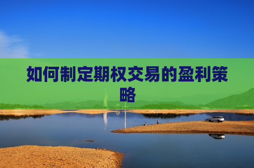如何制定期权交易的盈利策略  第1张