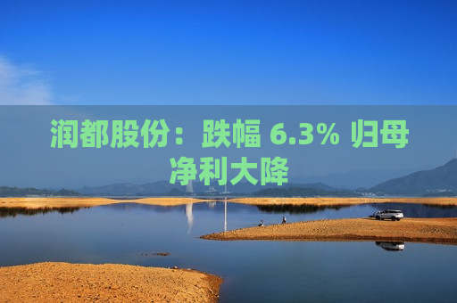 润都股份：跌幅 6.3% 归母净利大降  第1张