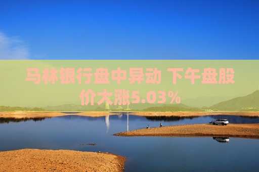 马林银行盘中异动 下午盘股价大涨5.03%