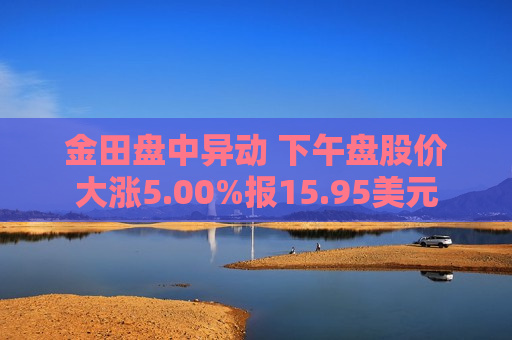 金田盘中异动 下午盘股价大涨5.00%报15.95美元
