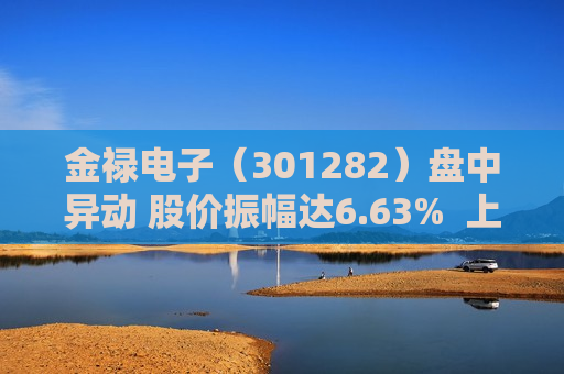 金禄电子（301282）盘中异动 股价振幅达6.63%  上涨8.4%（08-15）