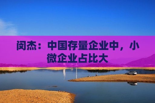 闵杰：中国存量企业中，小微企业占比大