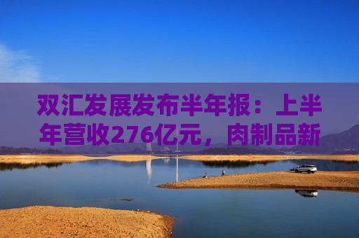 双汇发展发布半年报：上半年营收276亿元，肉制品新渠道销量增超40%