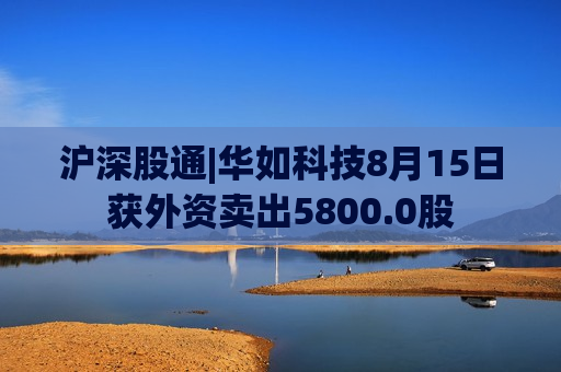 沪深股通|华如科技8月15日获外资卖出5800.0股