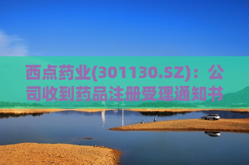西点药业(301130.SZ)：公司收到药品注册受理通知书