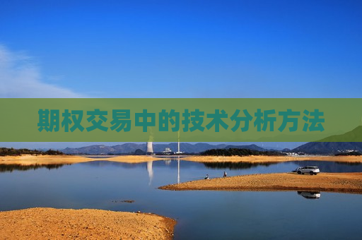 期权交易中的技术分析 *** 