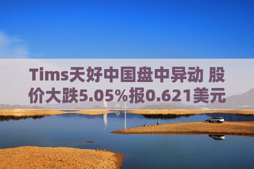 Tims天好中国盘中异动 股价大跌5.05%报0.621美元