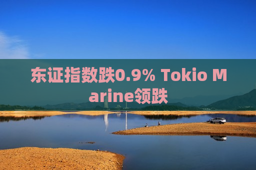 东证指数跌0.9% Tokio Marine领跌