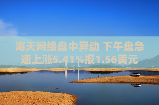 海天 *** 盘中异动 下午盘急速上涨5.41%报1.56美元  第1张