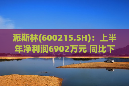 派斯林(600215.SH)：上半年净利润6902万元 同比下降16.62%