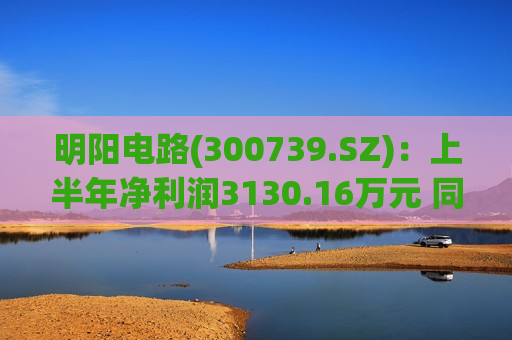 明阳电路(300739.SZ)：上半年净利润3130.16万元 同比下降47.69%  第1张