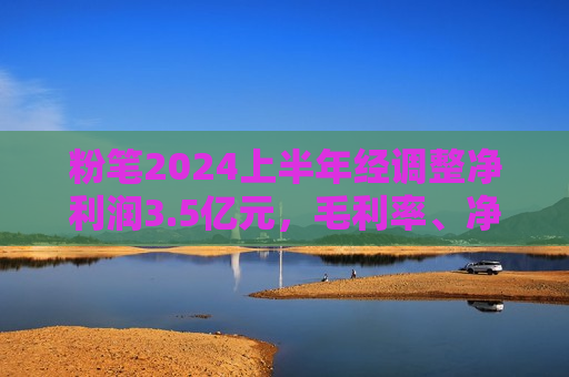 粉笔2024上半年经调整净利润3.5亿元，毛利率、净利率双双提升  第1张