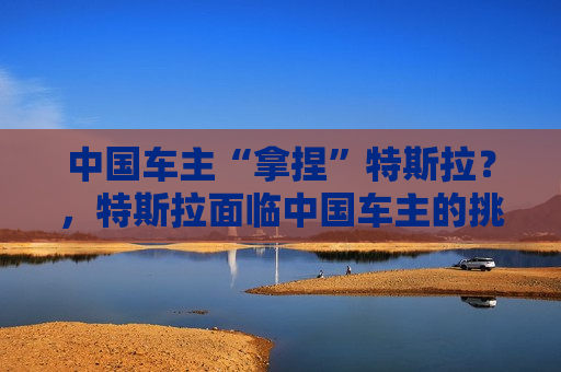 中国车主“拿捏”特斯拉？，特斯拉面临中国车主的挑战？，特斯拉面临中国车主的挑战？
