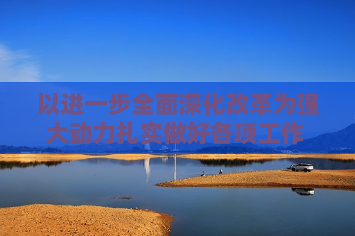 以进一步全面深化改革为强大动力扎实做好各项工作 坚定不移完成全年经济社会发展目标任务