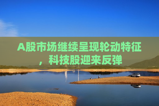 A股市场继续呈现轮动特征，科技股迎来反弹  第1张
