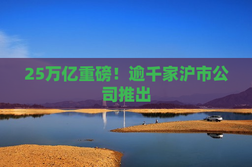 25万亿重磅！逾千家沪市公司推出  第1张