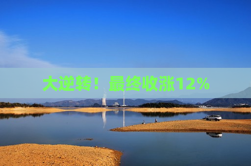 大逆转！最终收涨12%