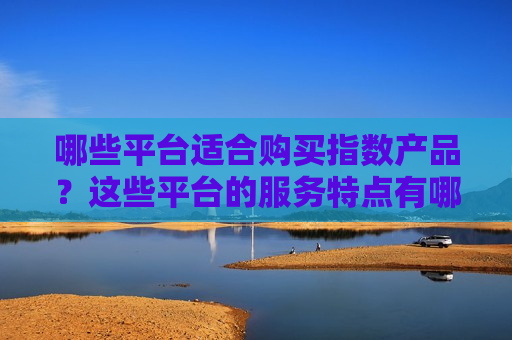 哪些平台适合购买指数产品？这些平台的服务特点有哪些？