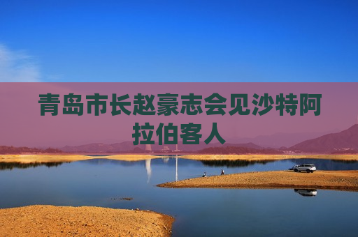 青岛市长赵豪志会见沙特 *** 客人