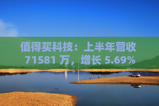 值得买科技：上半年营收 71581 万，增长 5.69%  第1张