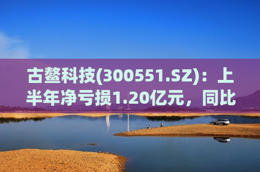 古鳌科技(300551.SZ)：上半年净亏损1.20亿元，同比亏损扩大  第1张