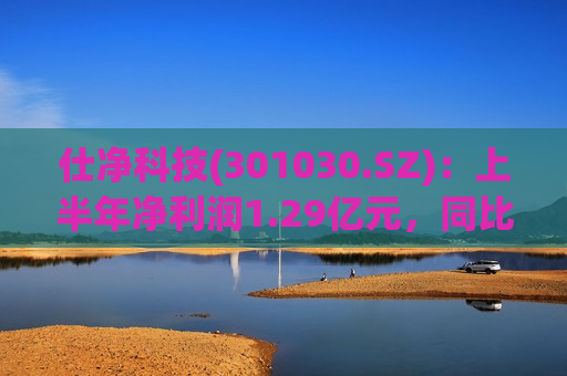 仕净科技(301030.SZ)：上半年净利润1.29亿元，同比增长24.85%