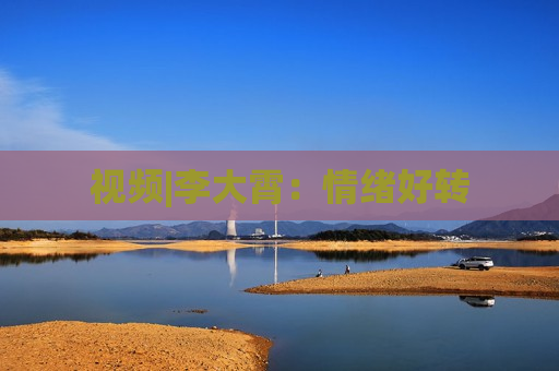 视频|李大霄：情绪好转  第1张