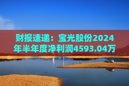 财报速递：宝光股份2024年半年度净利润4593.04万元  第1张