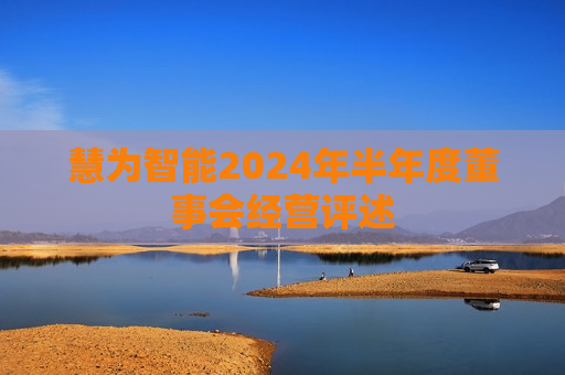 慧为智能2024年半年度董事会经营评述