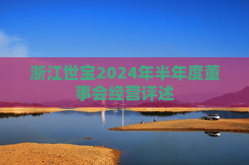 浙江世宝2024年半年度董事会经营评述