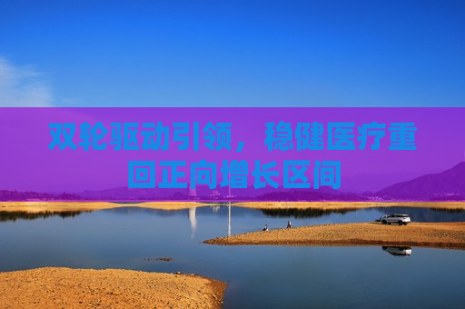双轮驱动引领，稳健医疗重回正向增长区间