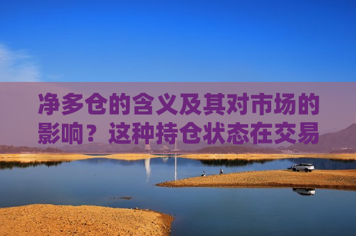 净多仓的含义及其对市场的影响？这种持仓状态在交易中有何作用？