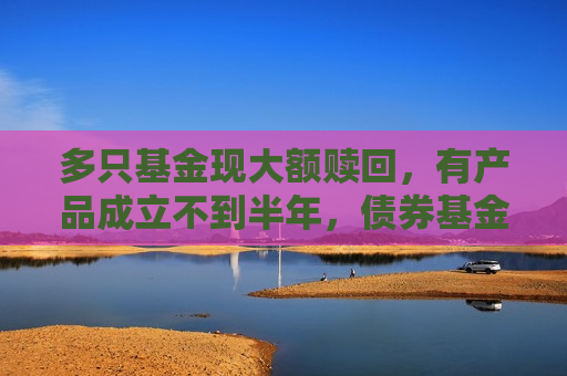多只基金现大额赎回，有产品成立不到半年，债券基金较为多见  第1张
